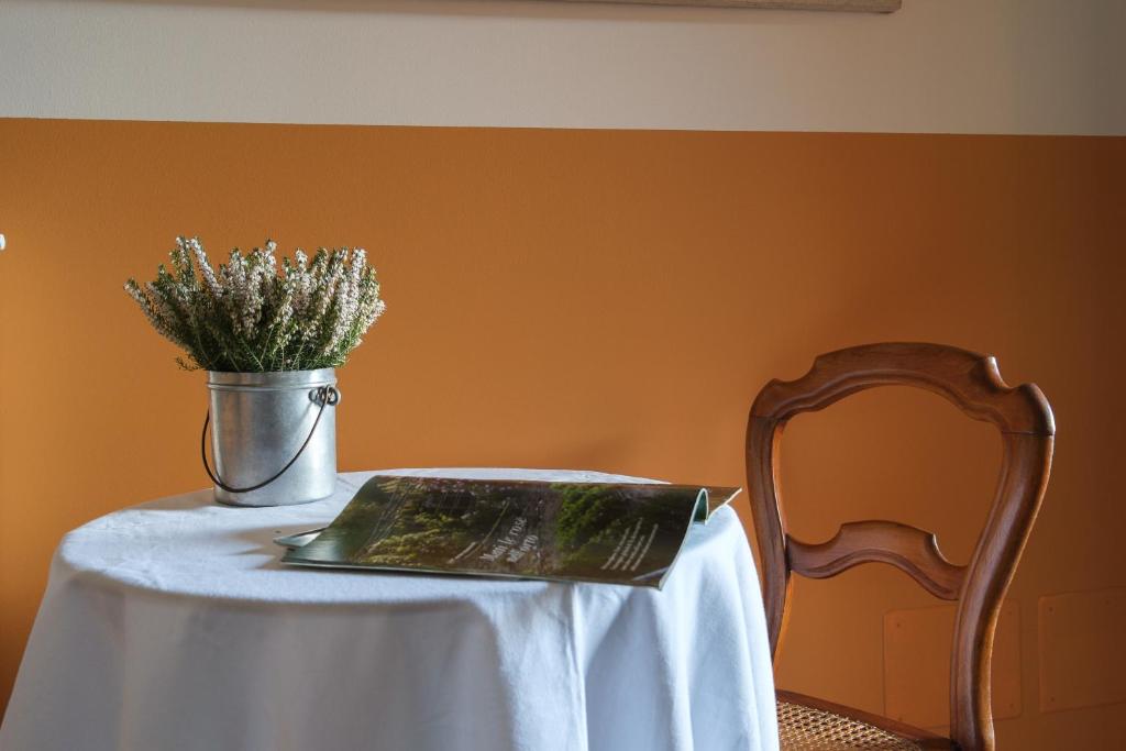 Foto Camera Hemerocallis